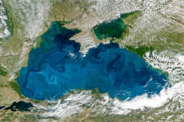 Бірюзова стрічка на супутникових знімках: як орбіта побачила кокколітофорів у Чорному морі